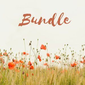 Bundle, two pillow cases